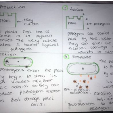 tsa_HomeLearningScience (27)